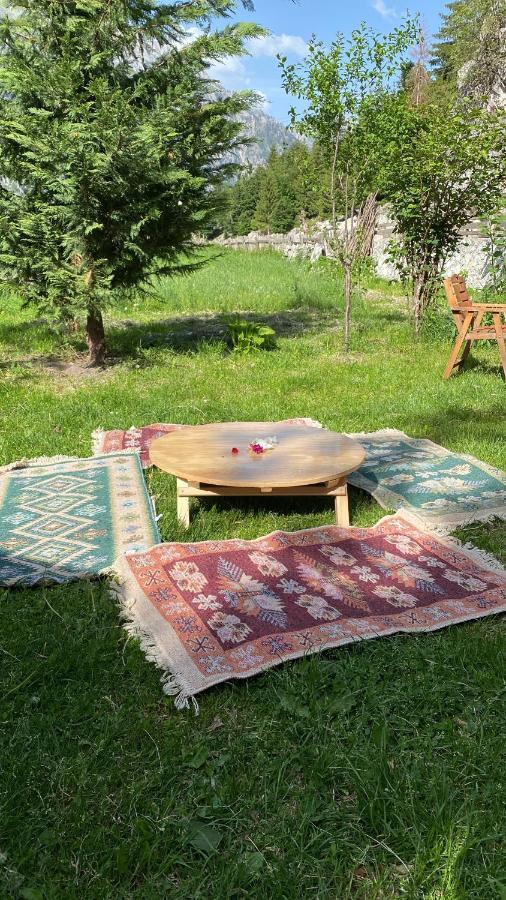 Guesthouse Demushi Valbone Bagian luar foto