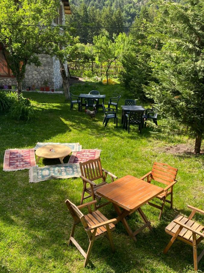 Guesthouse Demushi Valbone Bagian luar foto