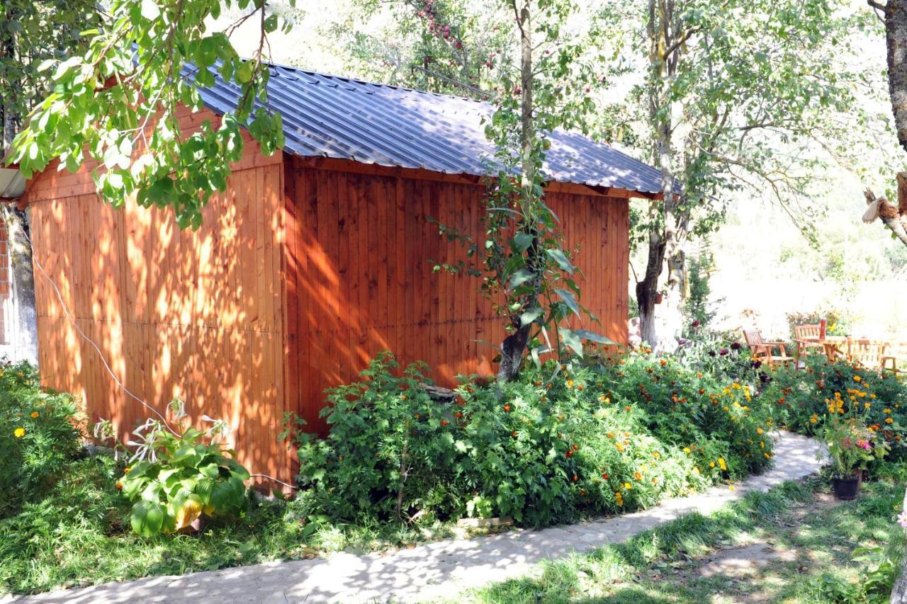 Guesthouse Demushi Valbone Bagian luar foto
