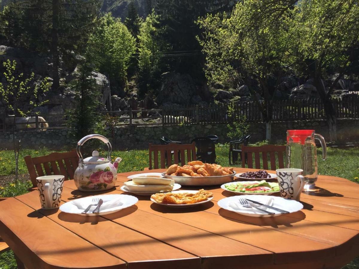Guesthouse Demushi Valbone Bagian luar foto