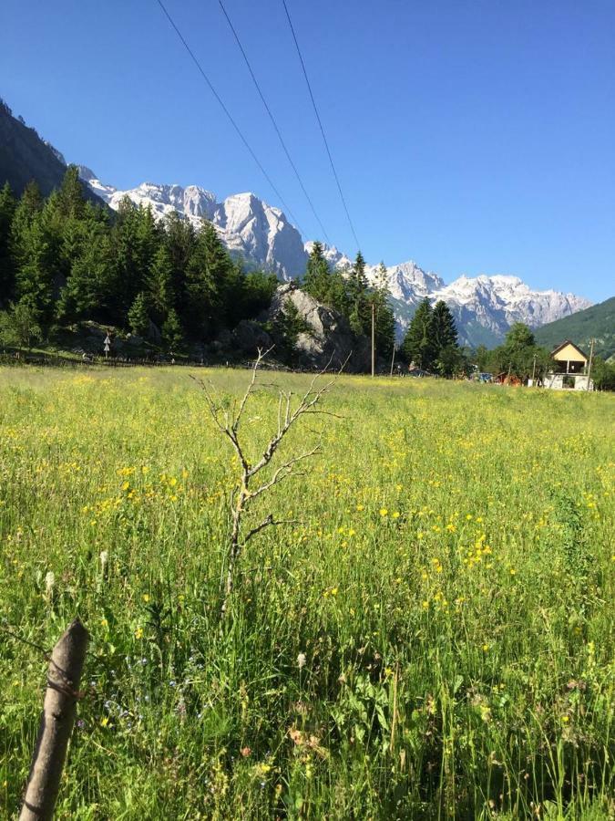 Guesthouse Demushi Valbone Bagian luar foto