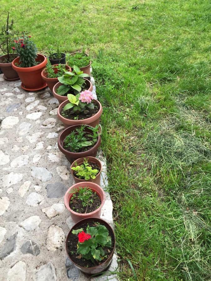 Guesthouse Demushi Valbone Bagian luar foto